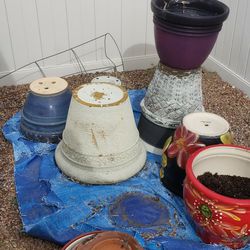 Plant Pots, Stands, Make Offers