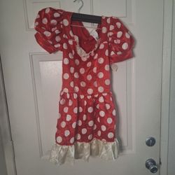 Woman's Minnie Costume