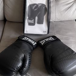 Everlast Spark Boxing Gloves (16 Ounces)-Worn a Few Times