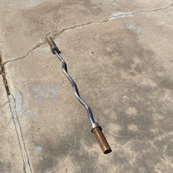 Curl Bar W/o Clamps 