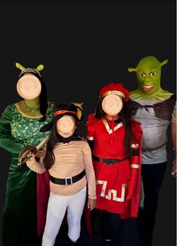 Shrek Costume