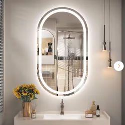 24 in. W x 40 in. H Oval Frameless Super Bright 192 LEDs/M Lighted Anti-Fog Tempered Glass Wall Bathroom Vanity Mirror