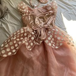 Minnie Mouse Rose Gold Dress 