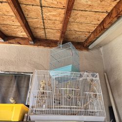 Birdcage