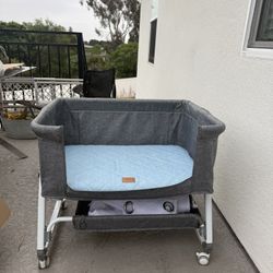 Pet Bed 