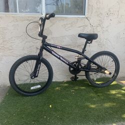 20 Inc Bike