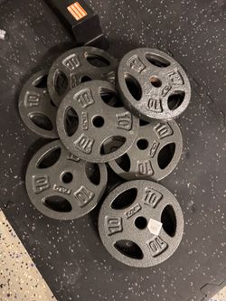 1” plates Gym exercise 10 lb 8units