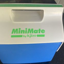 IGLOO MINI COOLER 