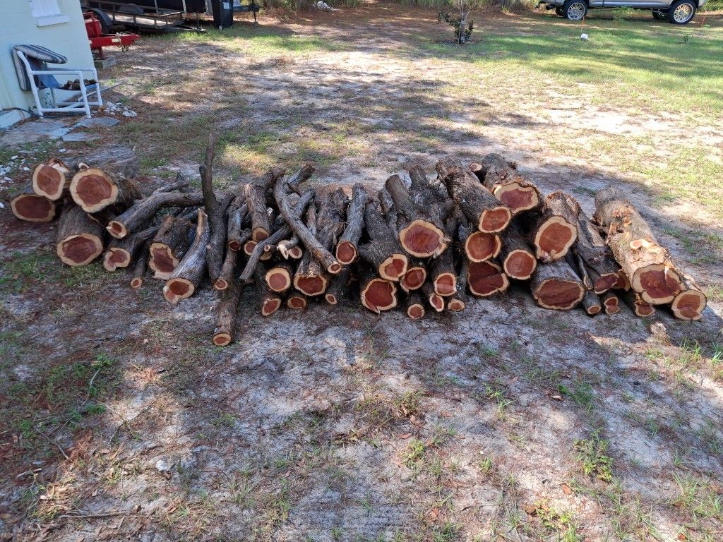 Cedar Logs and Branches For Sale