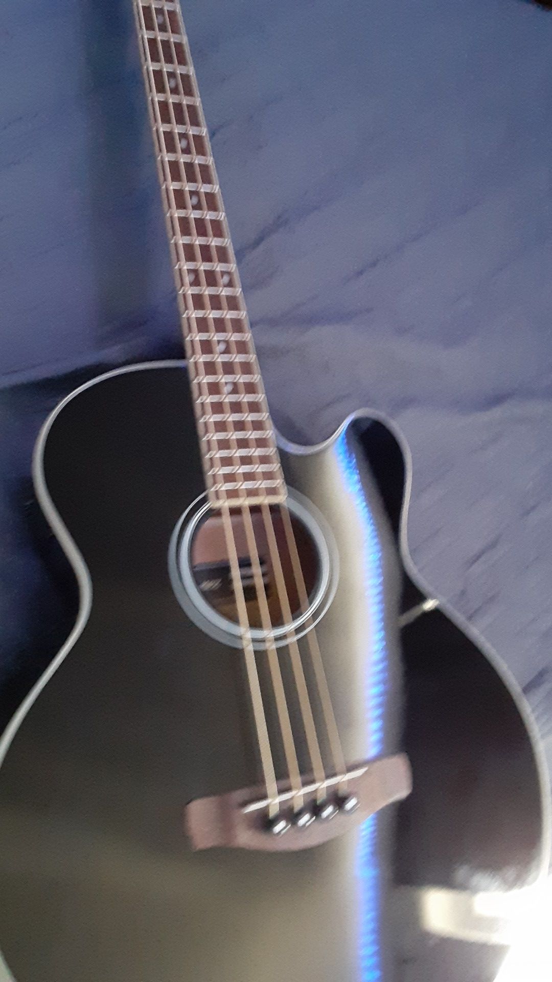 Bajoloche ibanez 2024