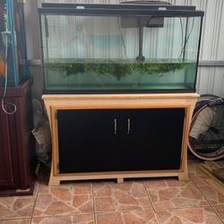 Aquarium Fish  55 gallons with stand 