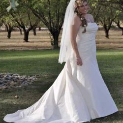 Wedding Dress Sz 12 With Veil Local Pickup CASH ONLY