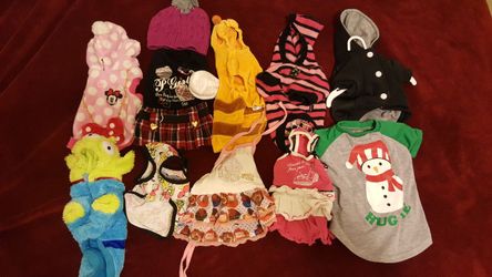 Small dog clothes