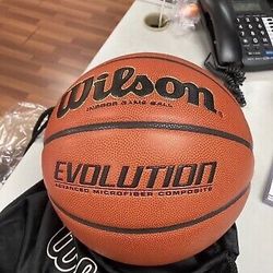 Wilson Evolution Ball