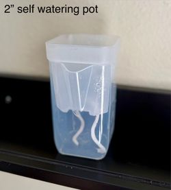 Self Watering Pots