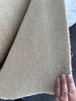 Light Beige Wool Carpet 13.2 X 28  