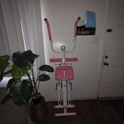Dual Abs Workout Machine. Move Out Sale