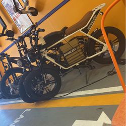 750 OFF-ROAD ELECTRIC BICYCLE 