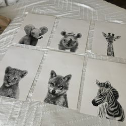 Animal Prints - Set Of 6