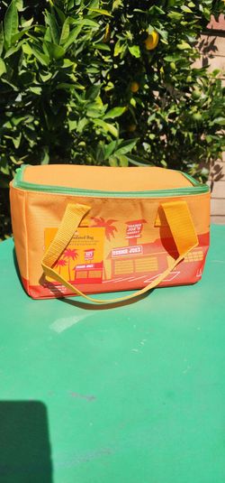 Trader Joes Mini Insulated bag