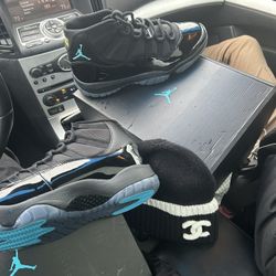 Gamma Blue 11