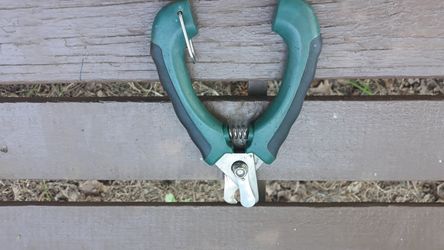 DOG NEIL CLIPPERS STANLEY STEEL
