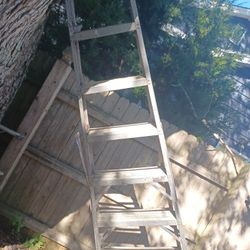 10 Ft Aluminum Ladder