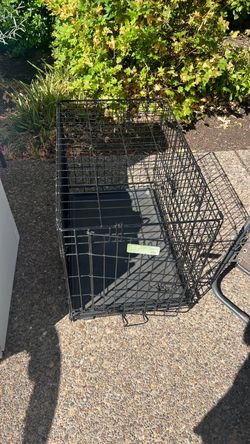 Dog Kennel