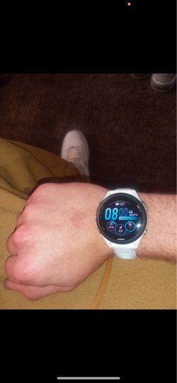 Garmin forerunner 365s