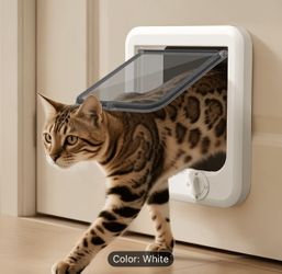 cat door