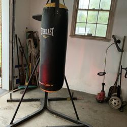 Everlast Heavy Bag + Stand With Speed Bag