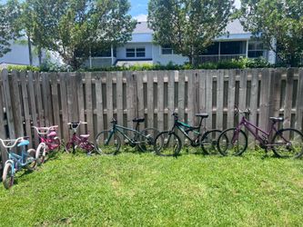 6 bike for 250$ or best offer
