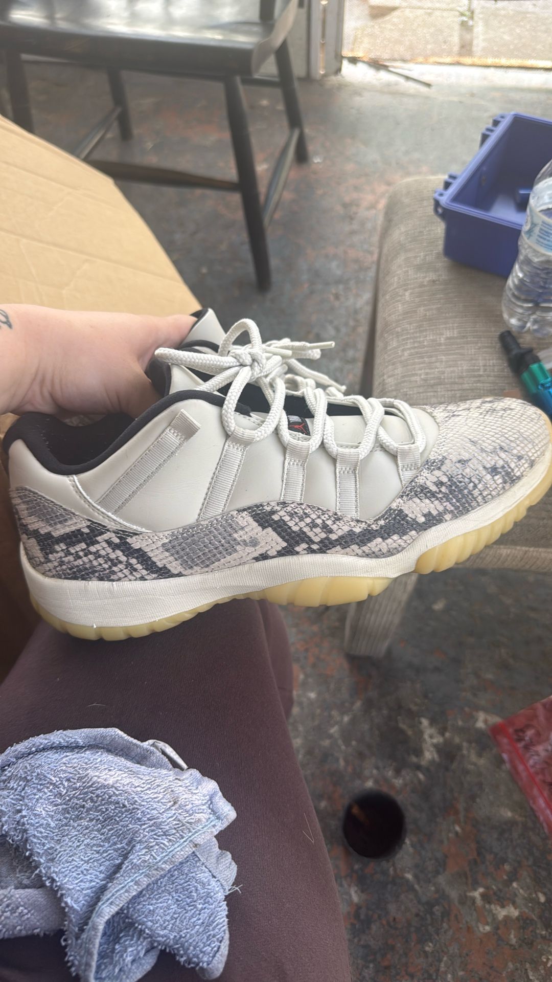Jordan 11 Lows