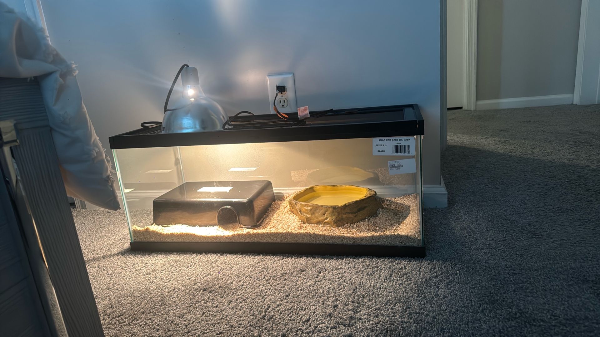 20 Gallon Snake Tank