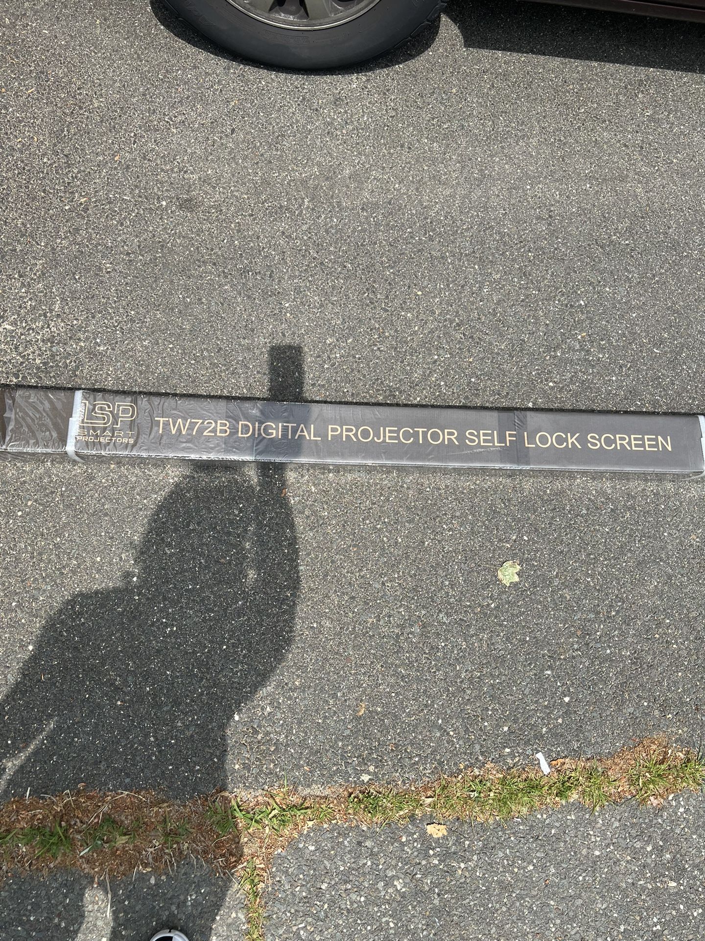 Projector Screen