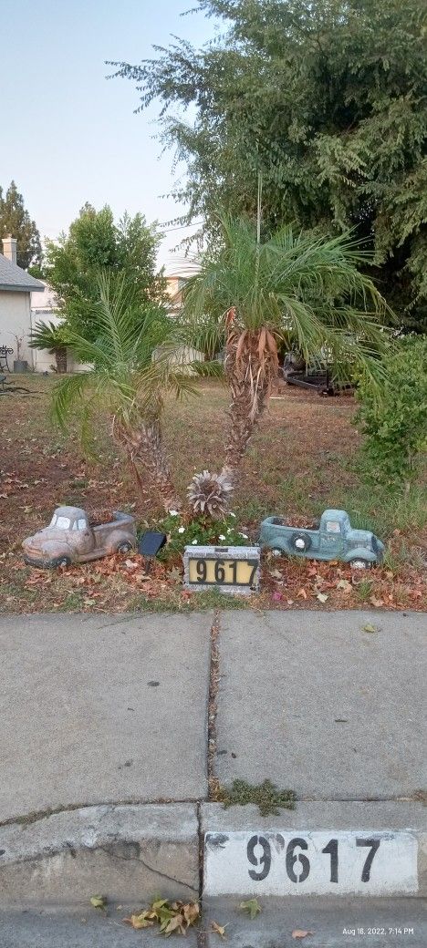 Garden Decor