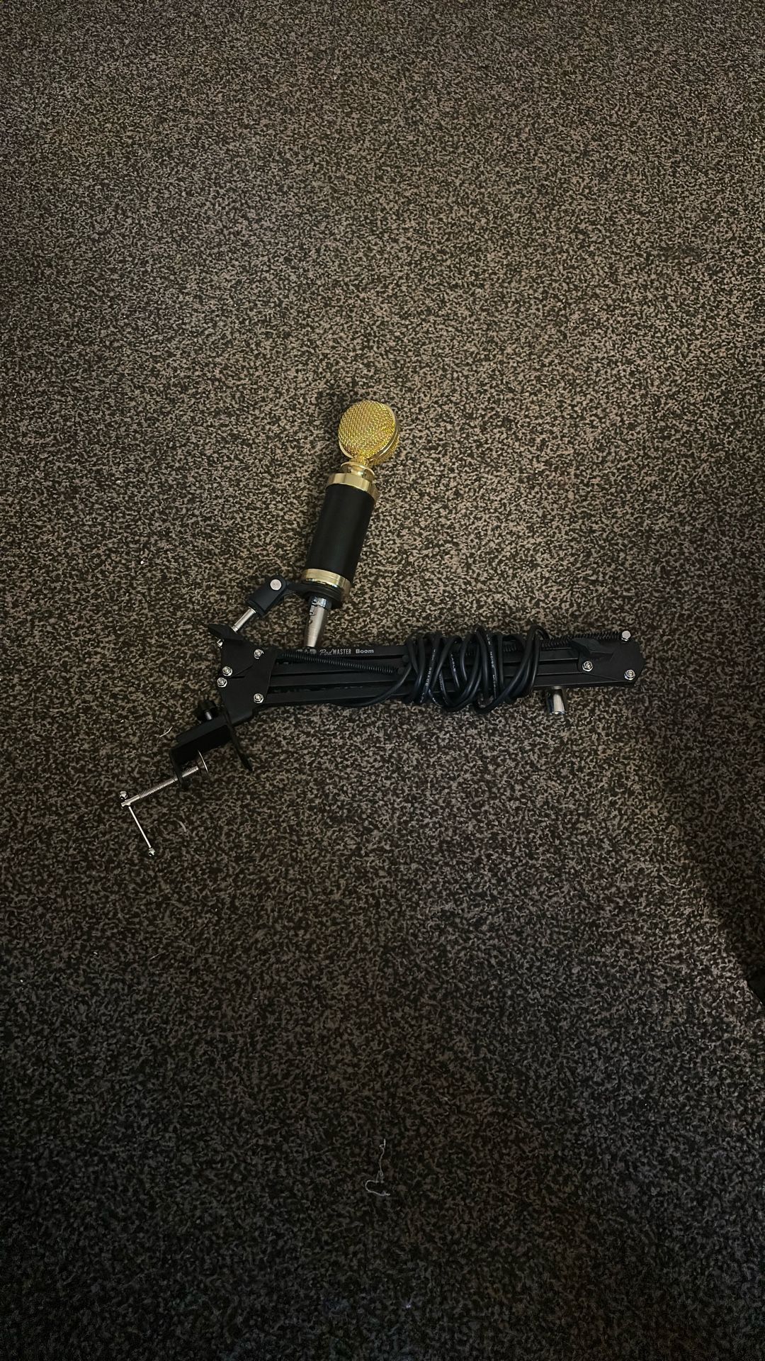 Condenser Mic with Stand and XLR cable