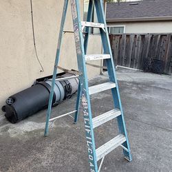 Werner 6 Ft. Ladder
