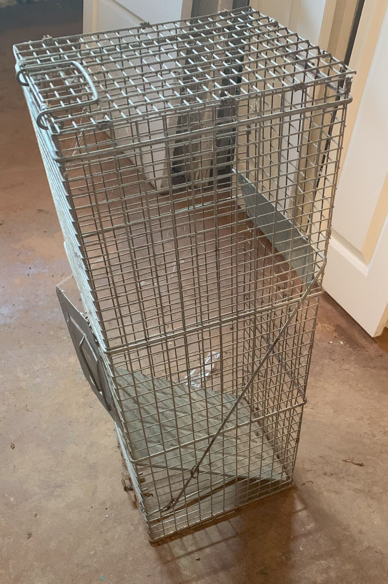 Live Animal Cage Trap