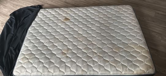 Flu Size Bed And Box Spring