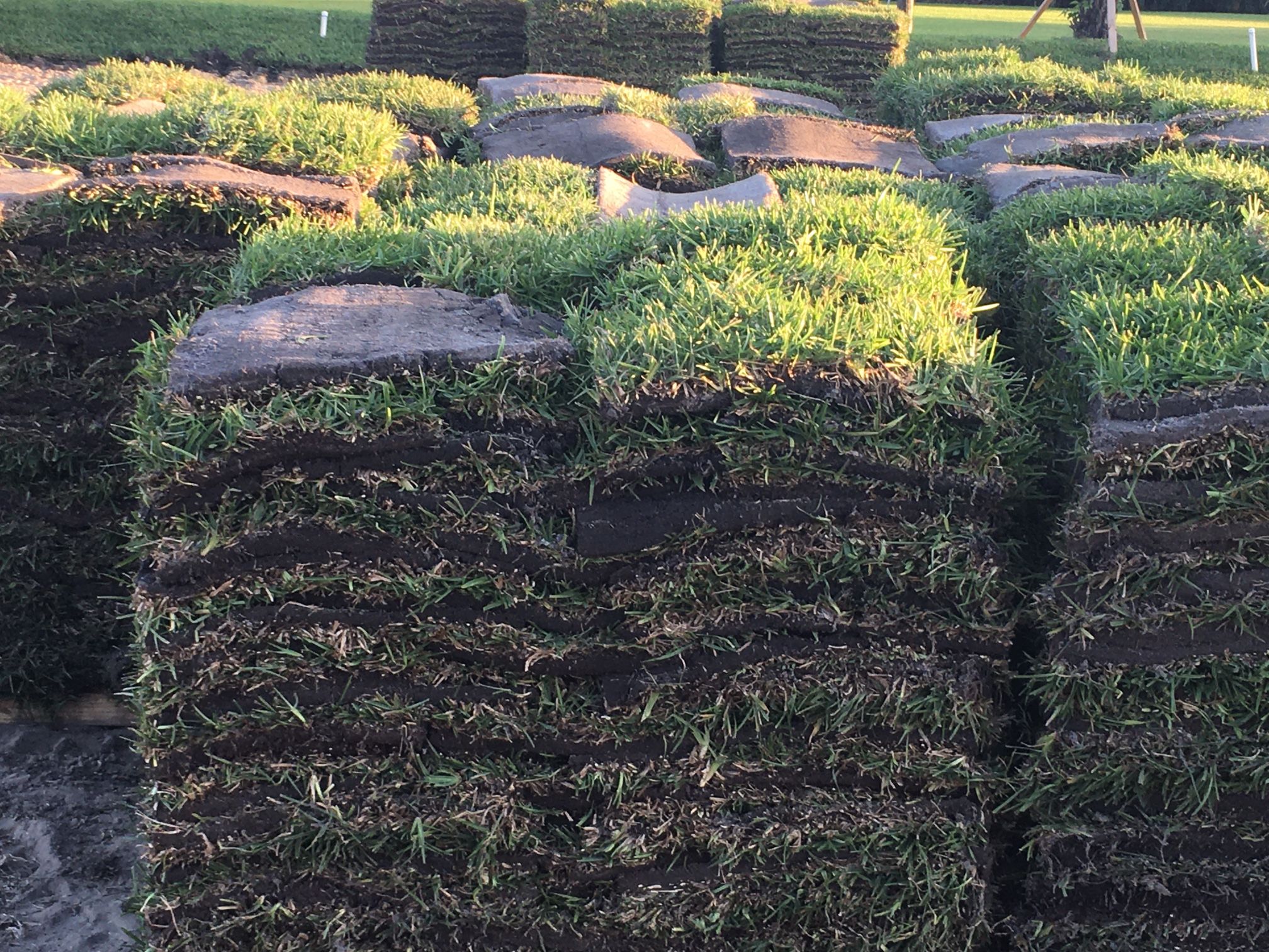 PALMETTO SOD $155.00 Always fresh π