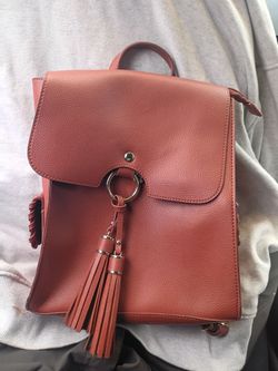 LD back pac purse
