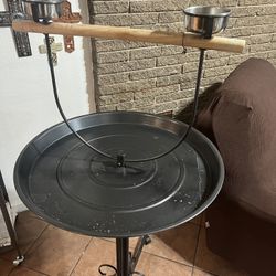 Bird Stand 