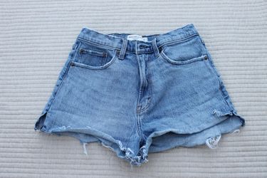 Abercrombie & Fitch Curve Love High Rise Mom Shorts Size 27