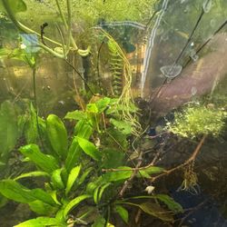 Fully Built Aquarium
