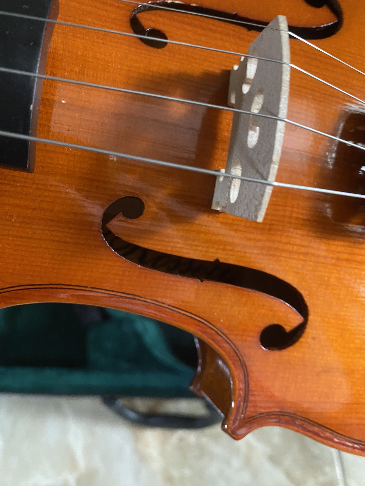 Rossetti violin 2024