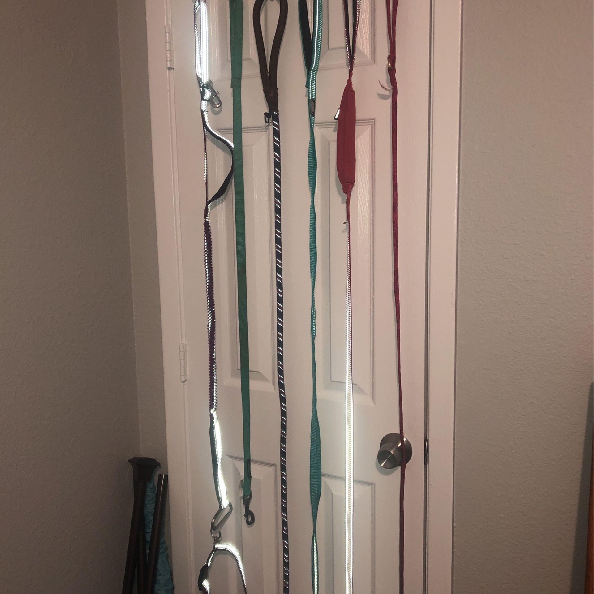 Dog Leashes