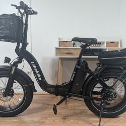Electric Bike 