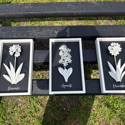 Black And White 3D Flower Frames