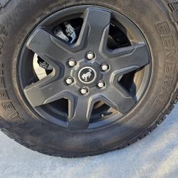 5 Rims, 2024 Black Diamond Bronco